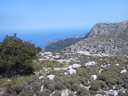 Landschaften von Mallorca Fotos