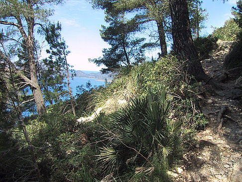 Landschaften von Mallorca Fotos