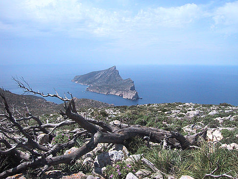 Fotos Landschaften von Mallorca | 