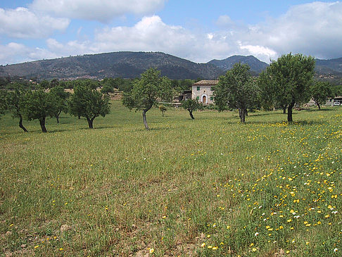 Landschaften von Mallorca