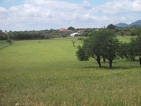 Foto Landschaften von Mallorca - 