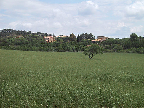 Fotos Landschaften von Mallorca | 