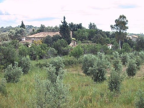 Landschaften von Mallorca - Mallorca