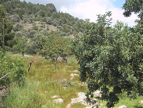 Landschaften von Mallorca - Mallorca