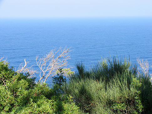 Ausblick vom Leuchtturm - Mallorca