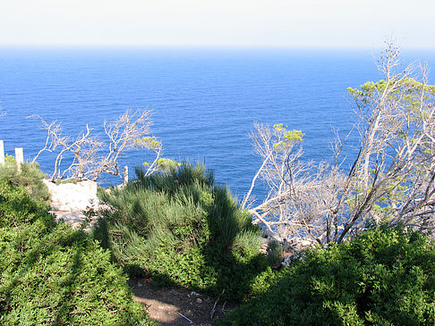 Ausblick vom Leuchtturm - Mallorca