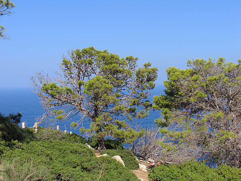 Ausblick vom Leuchtturm - Mallorca