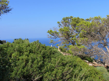 Ausblick vom Leuchtturm - Mallorca