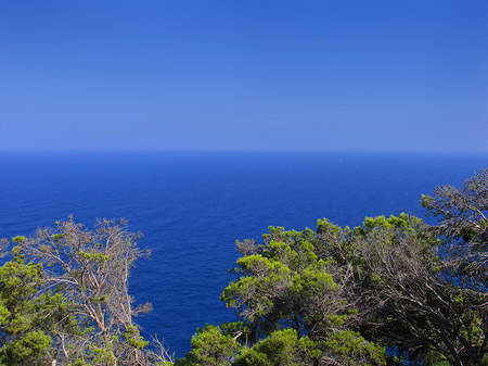 Ausblick vom Leuchtturm - Mallorca