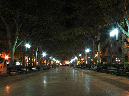 Passeig de Born bei Nacht - Mallorca