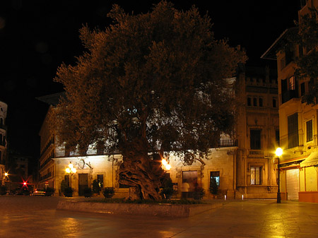 Rathaus am Placa Cort Fotos