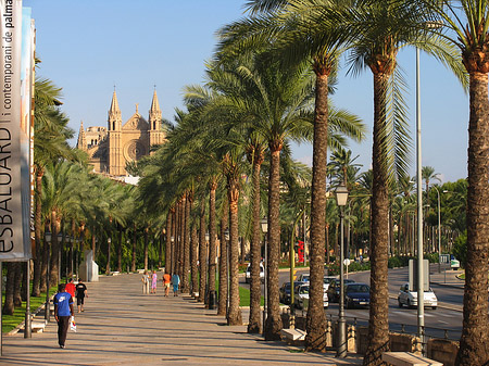 Fußgängerweg - Mallorca (Palma de Maljorka)