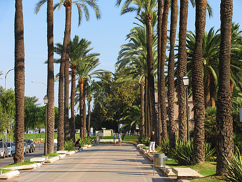 Fußgängerweg - Mallorca (Palma de Maljorka)