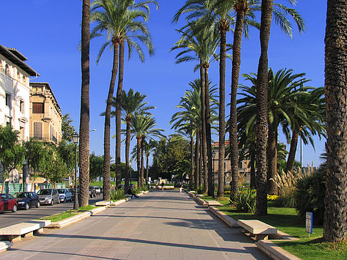 Fußgängerweg - Mallorca (Palma de Maljorka)