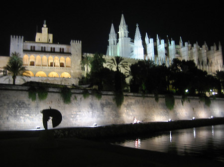 Foto La Seu bei Nacht - Palma de Maljorka