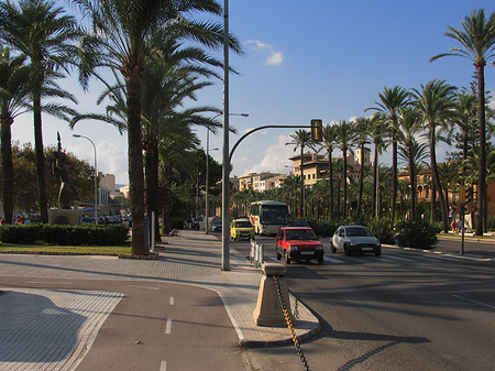 Foto Auf den Straßen von Palma - Palma de Maljorka