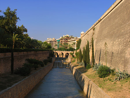 Wasserlauf in Palma Foto 