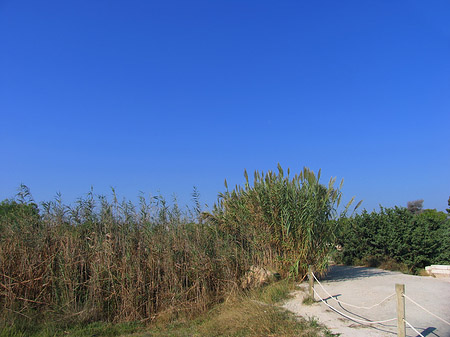 Blauer Himmel - Mallorca