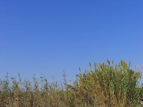 Blauer Himmel - Mallorca