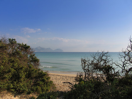 Blick auf das Meer - Mallorca