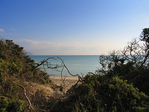 Blick auf das Meer - Mallorca