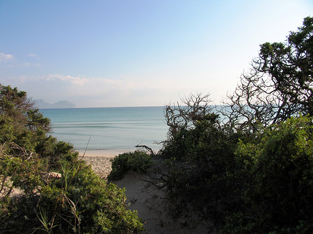 Blick auf das Meer - Mallorca