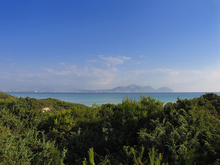 Blick über die Dünen Fotos