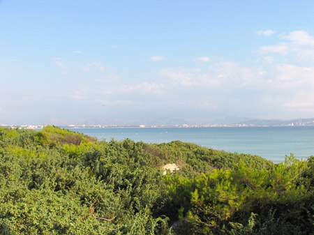 Foto Blick über die Dünen - 