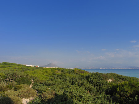 Foto Blick über die Dünen - 