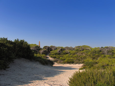 Blick über die Dünen - Mallorca