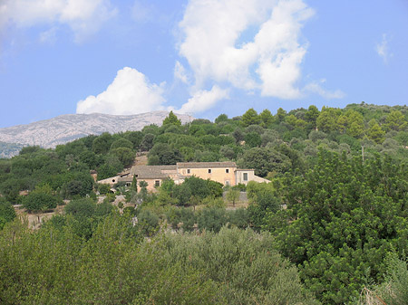 Blick auf die Berge - Mallorca