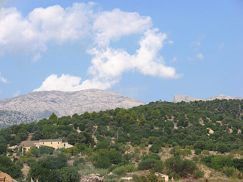 Blick auf die Berge - Mallorca