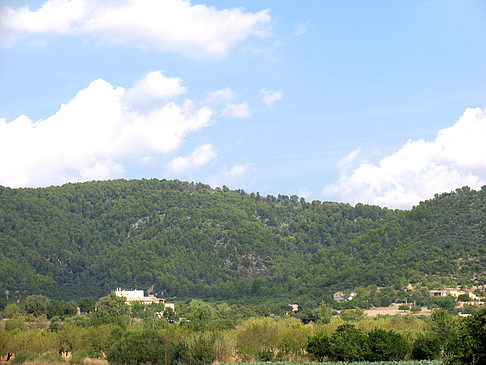 Blick auf die Berge - Mallorca