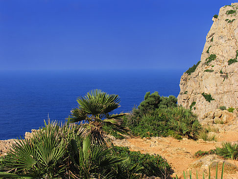 Blick auf das Meer