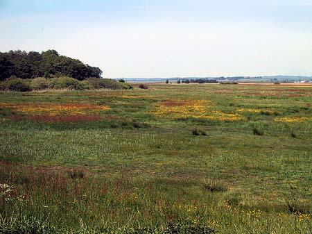 Landschaften von Thiessow - Mecklenburg-Vorpommern