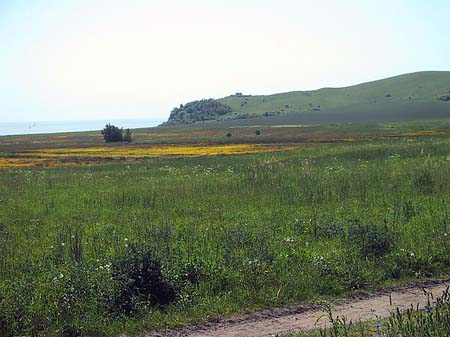 Landschaften von Thiessow - Mecklenburg-Vorpommern