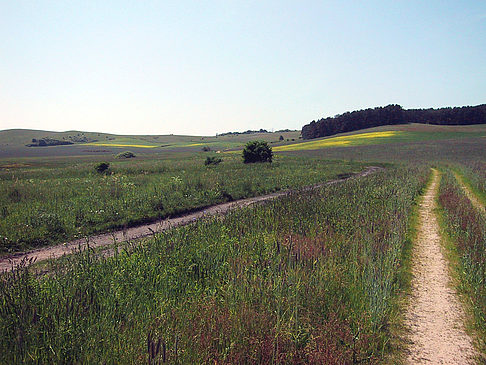 Fahrradwege durch die Natur - Mecklenburg-Vorpommern