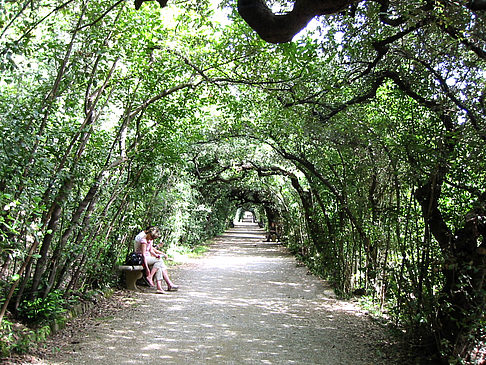 Im Garten des Palazzo Pitti - Toskana (Florenz)