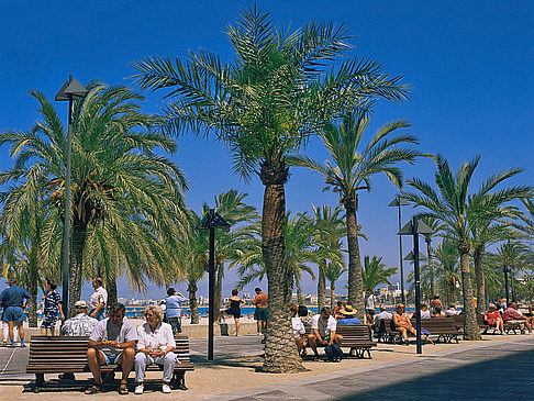 Geschichte Mallorca Foto Attraktion  Schöne Promenade am Platja de Palma