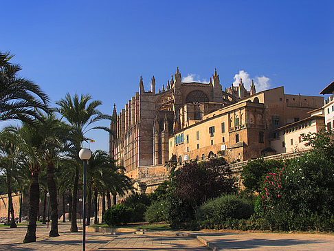 Museu Diocesà Bildansicht Attraktion  Mallorca 