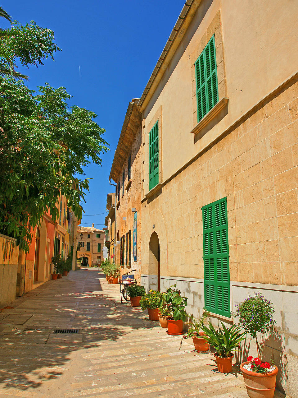 Fotos Alcúdia Altstadt