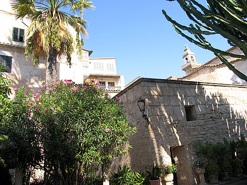 Fotos Banys Àrabs | Palma de Maljorka