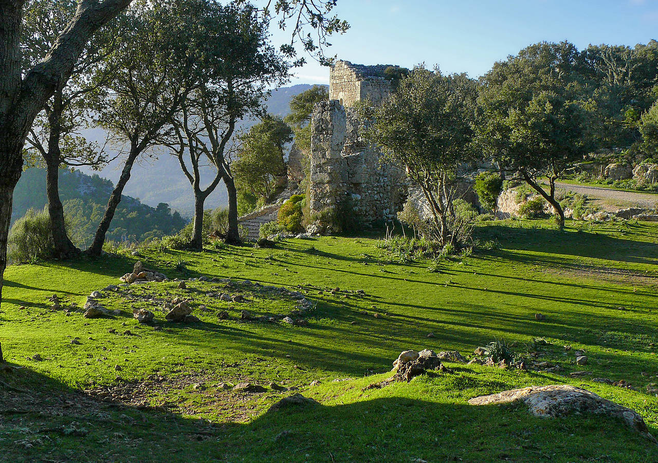 Castell d´Alaró Foto 